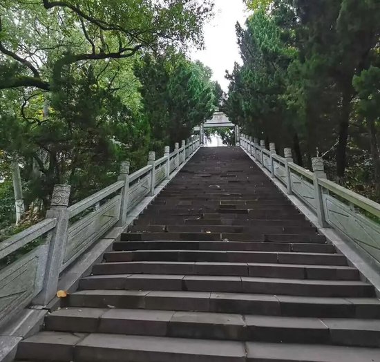 170亿资本入局,寿险市场迎来新晋保险巨头